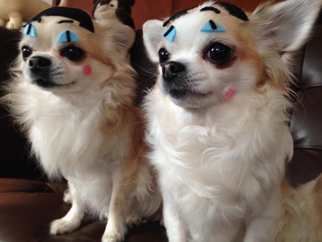 Read more about the article 今年の流行り