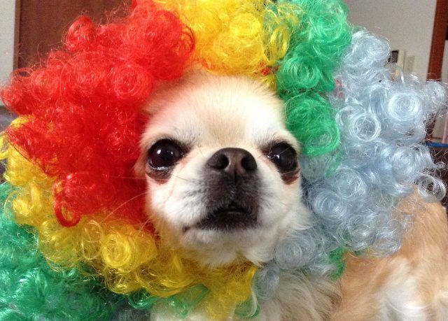 Read more about the article 謹賀新年