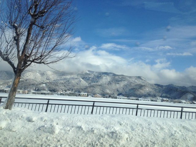 Read more about the article 1月のお手入れポイント