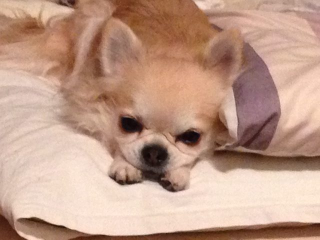 Read more about the article 毎日が癒し