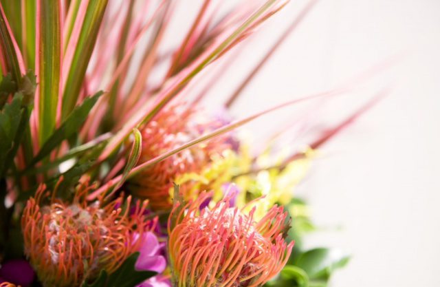 Read more about the article 2月のお手入れポイント