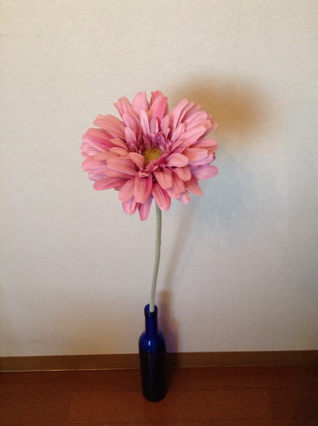 Read more about the article 3月のお手入れポイント