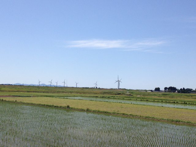 Read more about the article 秋の気配