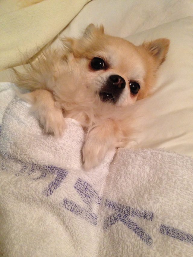 Read more about the article 9月のお手入れポイント