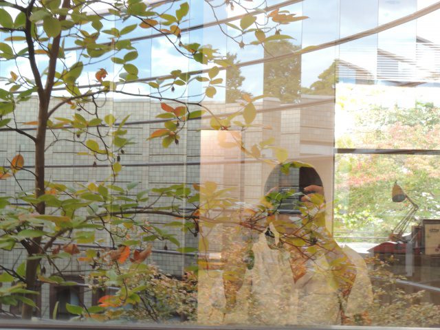 Read more about the article 個人エステアンシャンテ　おすすめのイッピン