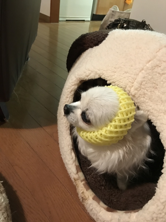 Read more about the article moon light storys ☆　新月のお話