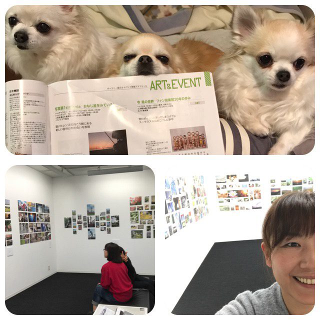 Read more about the article 今日は、LAP 写真展に来てます。