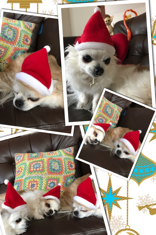 Read more about the article happy merry Christmas