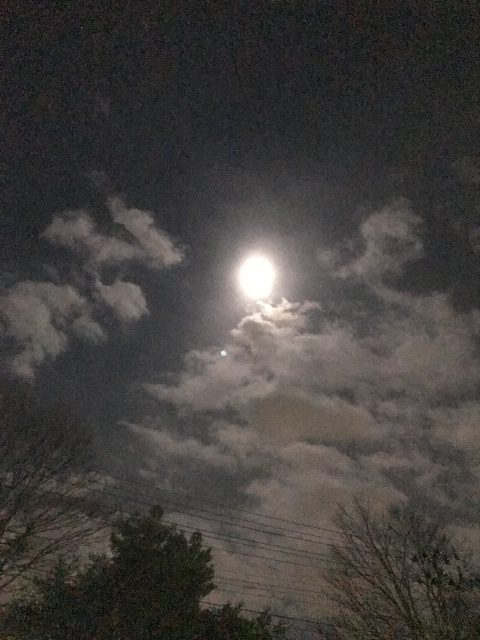 Read more about the article moon Light storys 本日は満月なり