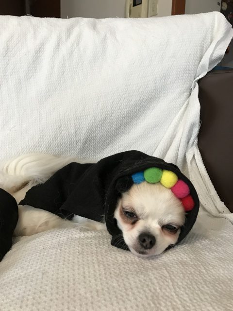 Read more about the article 恵方巻で福を呼ぼう！