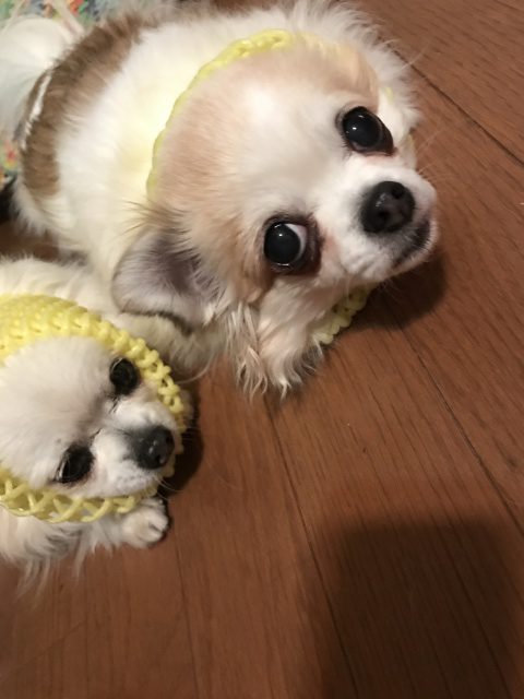 Read more about the article moon light storys 過去を手放す準備を…