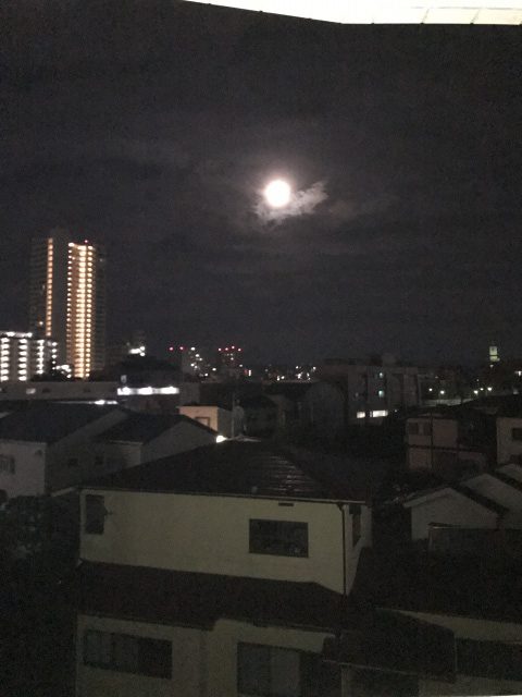 Read more about the article 万年ダイエッターを卒業しました…（笑）