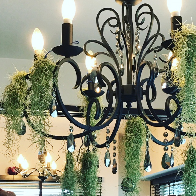 Read more about the article 第４３回認定フェイシャルエステティシャン試験を実施致しました。