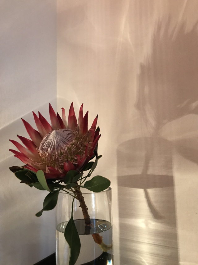 Read more about the article 自分に甘い（（笑）仙台アンシャンテ梶原のファスティング日記④