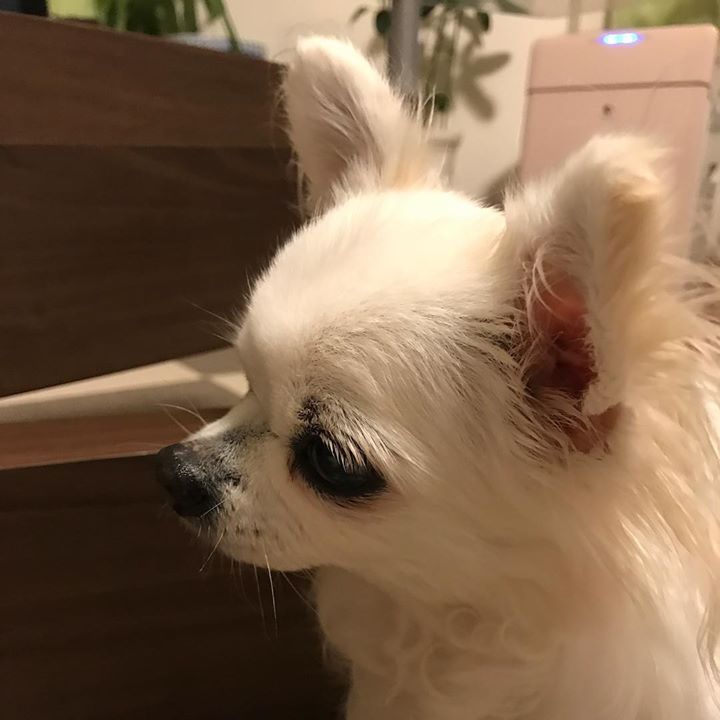 Read more about the article 2018年も元気に教室開講中（╹◡╹）