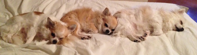 Read more about the article 営業日 ≫ 年末年始のお休み 年末年始のお休み