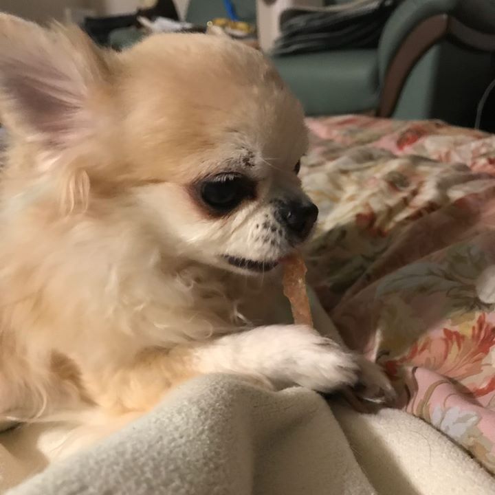 Read more about the article お疲れ様でした@ 隠れ家サロン アンシャンテ