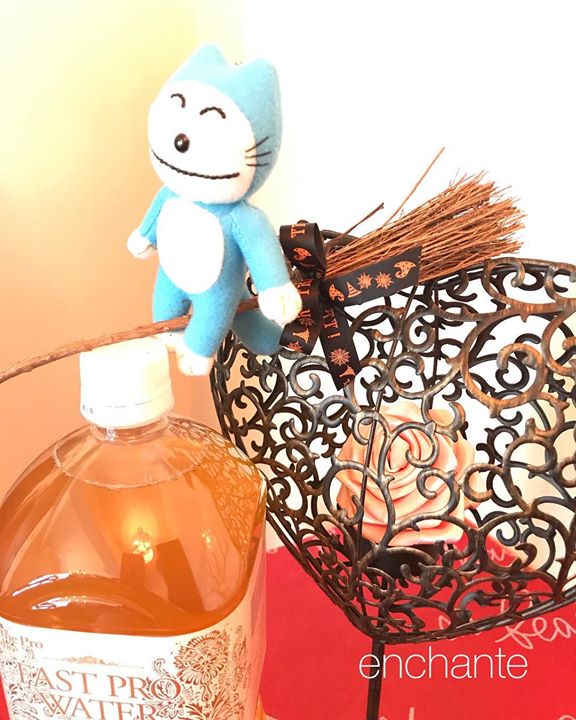 Read more about the article 今回のファスティングは教室の卒業生と一緒に