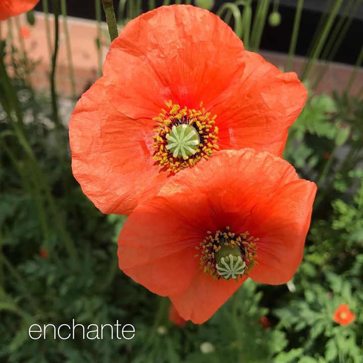 Read more about the article 今日は見ず知らずの人を心から尊敬する。そんなはじまりでした。