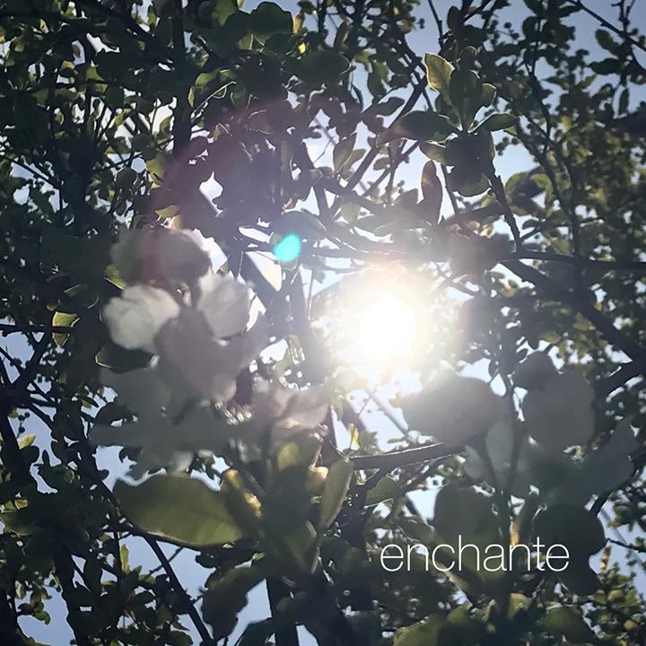 Read more about the article 仙台のエステスクールアンシャンテ