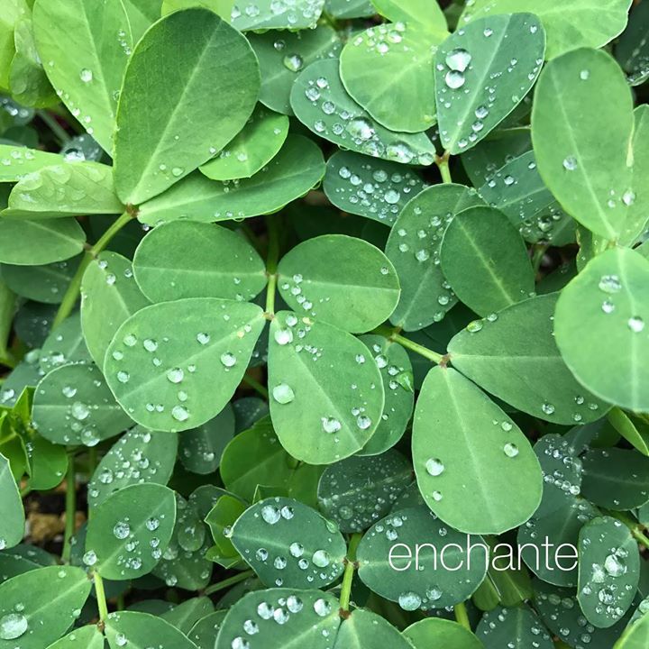 Read more about the article 早めの夏気分 今年の夏は何をして過ごしますか？