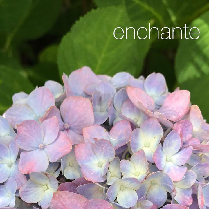 Read more about the article 遂に梅雨に突入。外は寒かったけど、アンシャンテの教室は今日も生徒の皆さんの情熱と温かさに包まれました