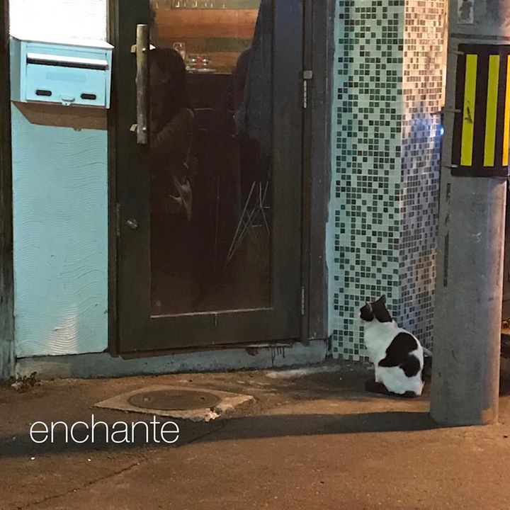 Read more about the article 新メンバーでのお教室がスタートです