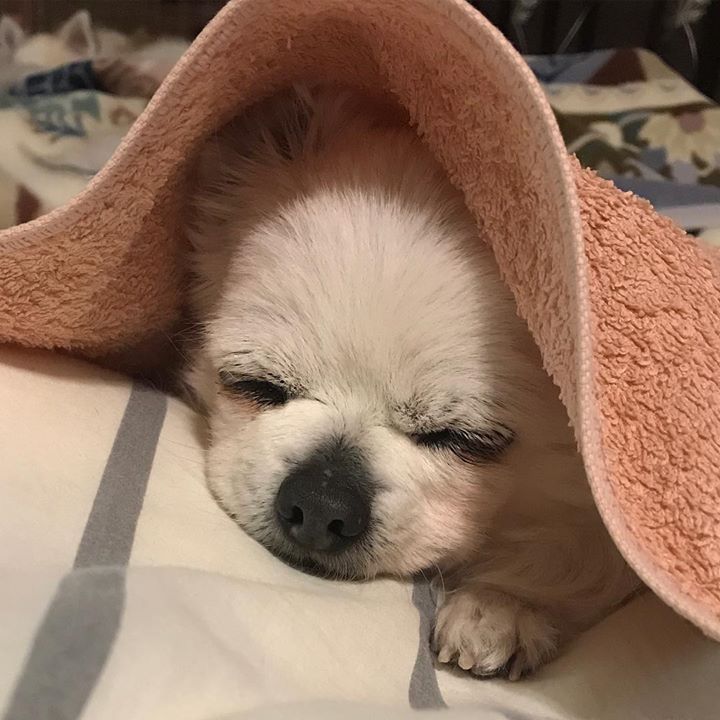 Read more about the article 今日もニコニコ頑張りました