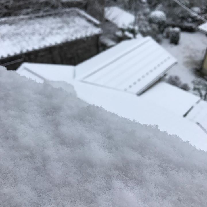 Read more about the article 朝起きたら外は真っ白