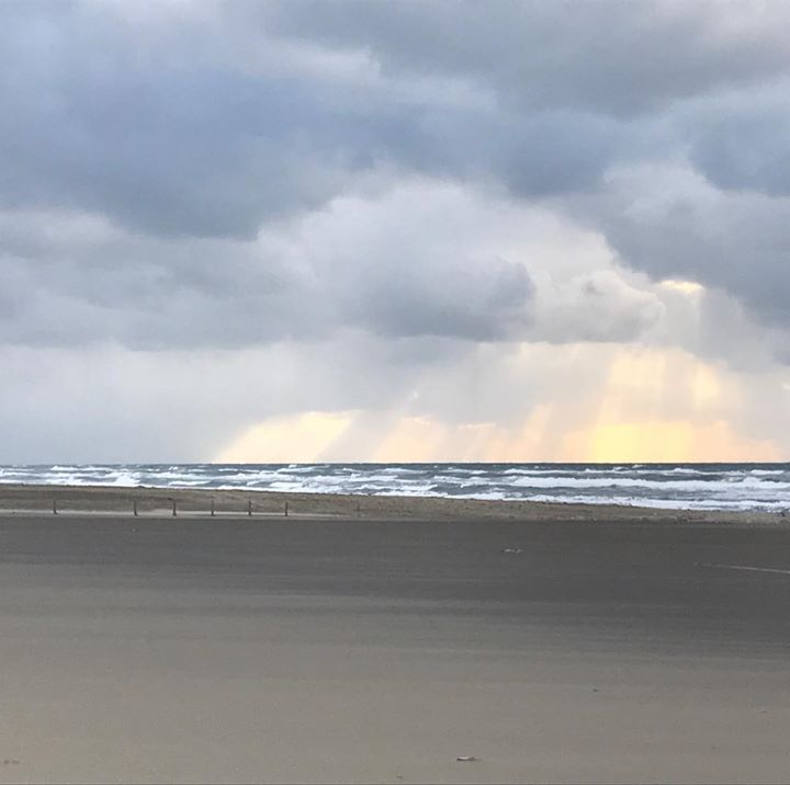 Read more about the article あけましておめでとうございます