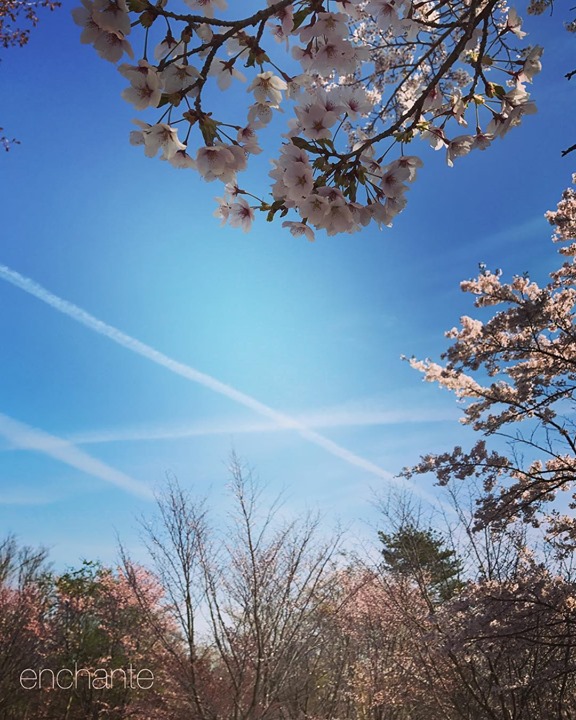 Read more about the article 2019.5.1.