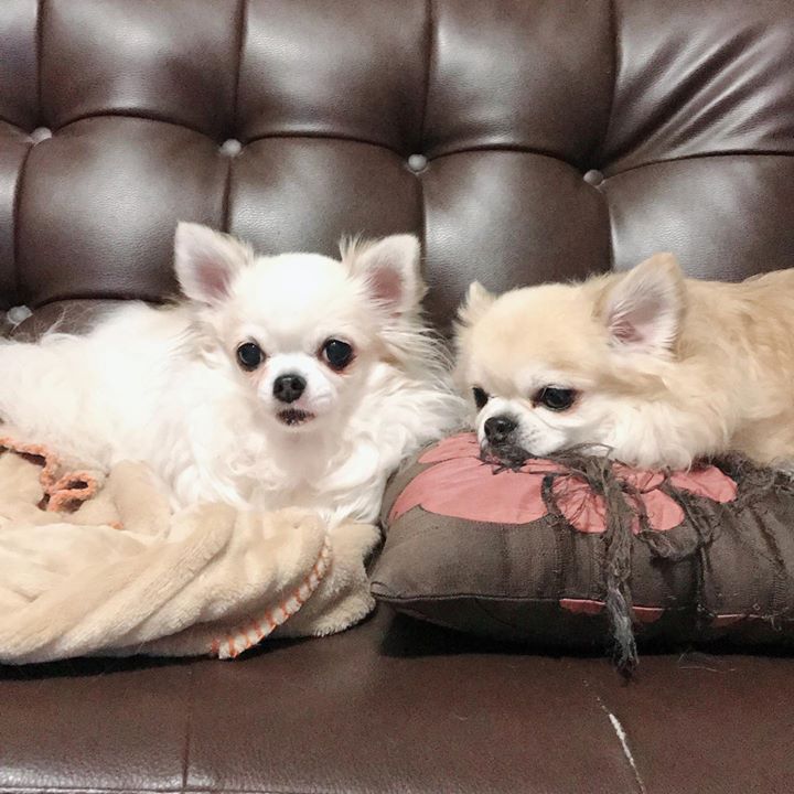 Read more about the article お疲れさーん