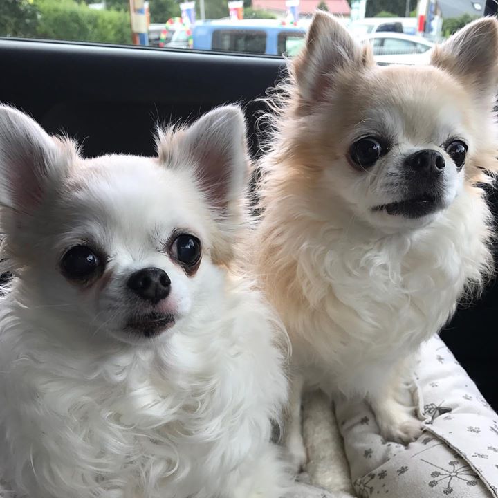 Read more about the article えっー