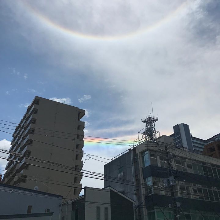 Read more about the article みてみて～