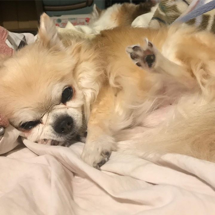 Read more about the article 眠いのに足ピー～ン