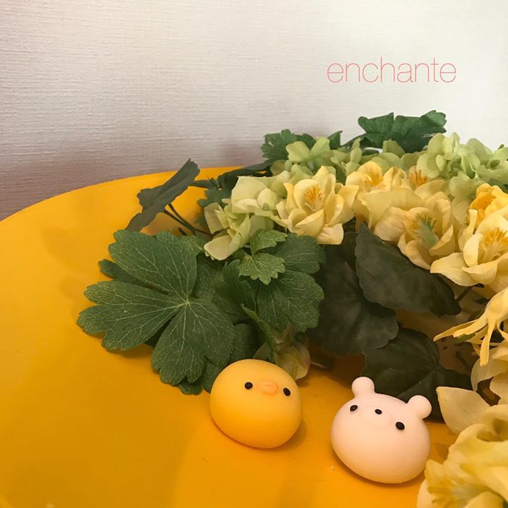 Read more about the article 今月は元気な