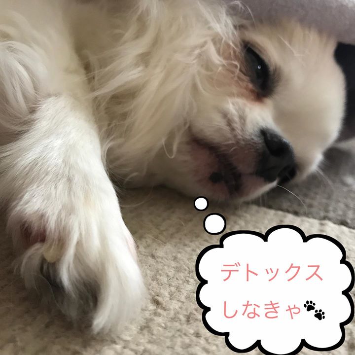 Read more about the article 最高のデトックス