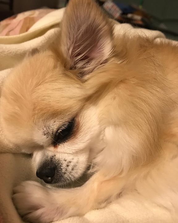 Read more about the article 今日も…