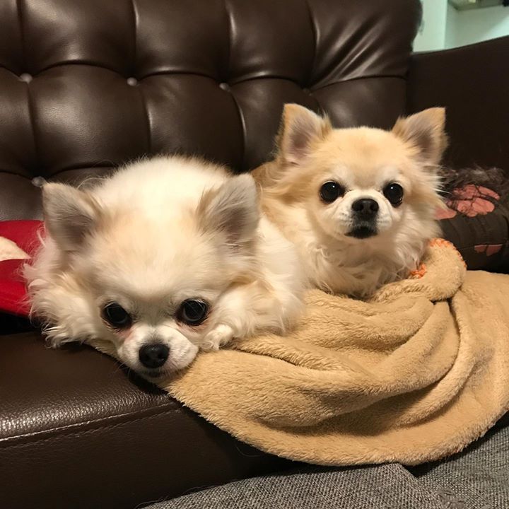 Read more about the article ただいま～