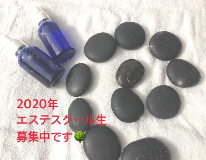 Read more about the article 今年もスクール開催致します。