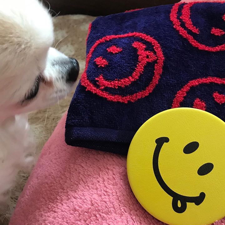 Read more about the article ニコニコ　頂きました