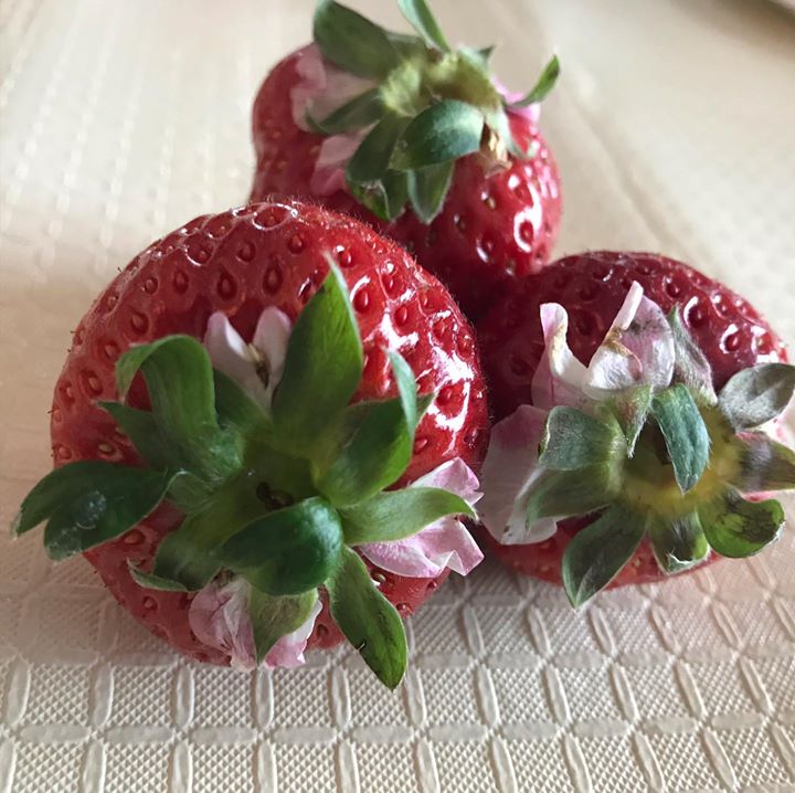 Read more about the article お花のついた