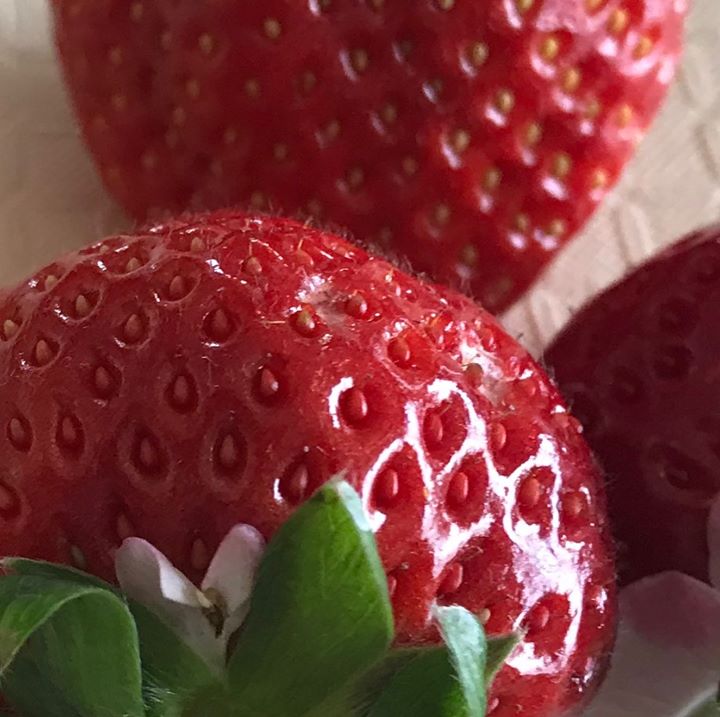 Read more about the article いろんなニュースが飛び交ってるから