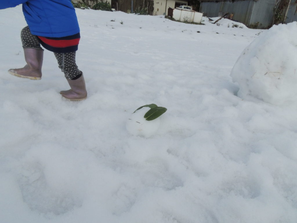 Read more about the article 冬のお肌に「角育」のすすめ